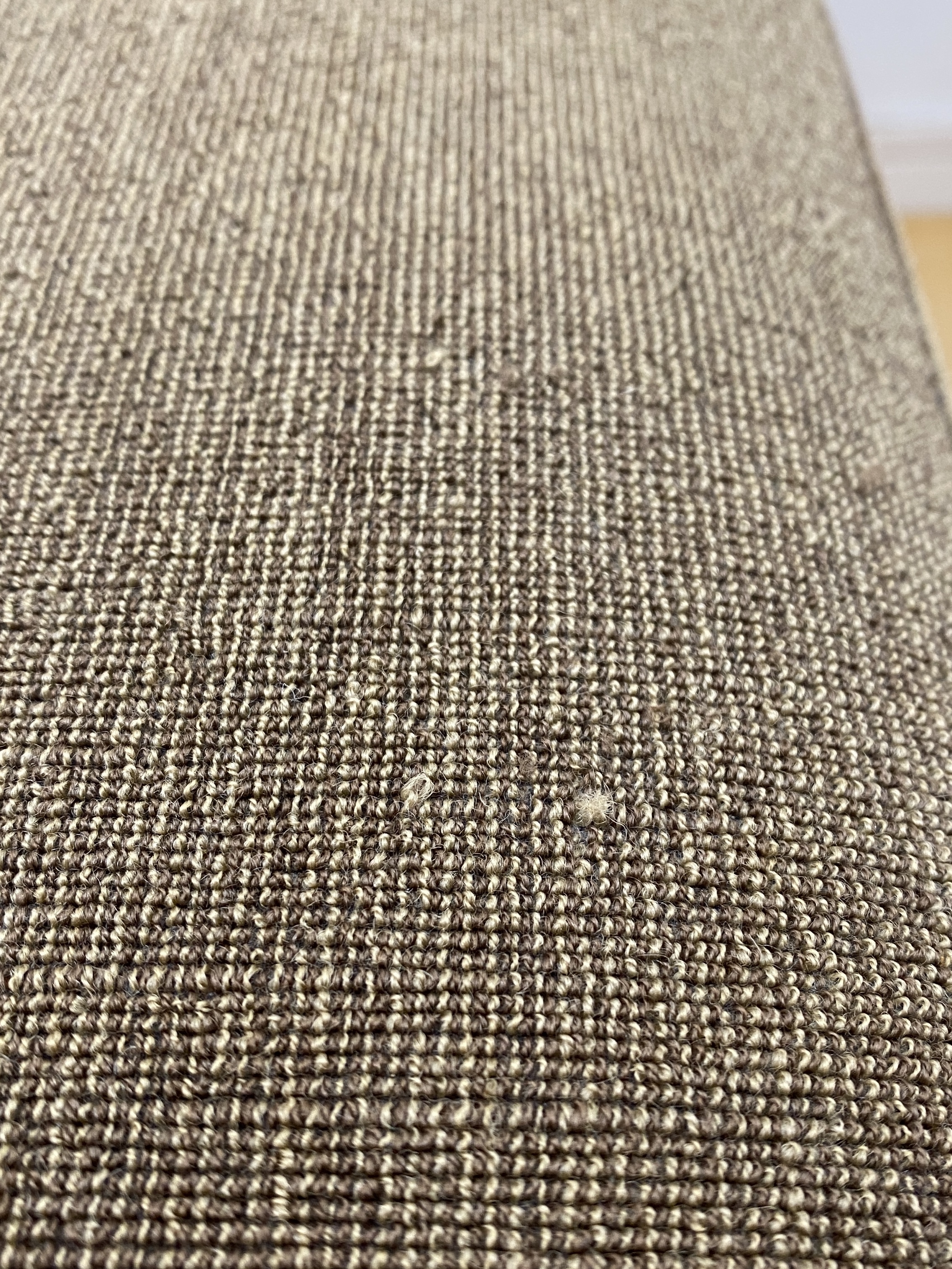 The