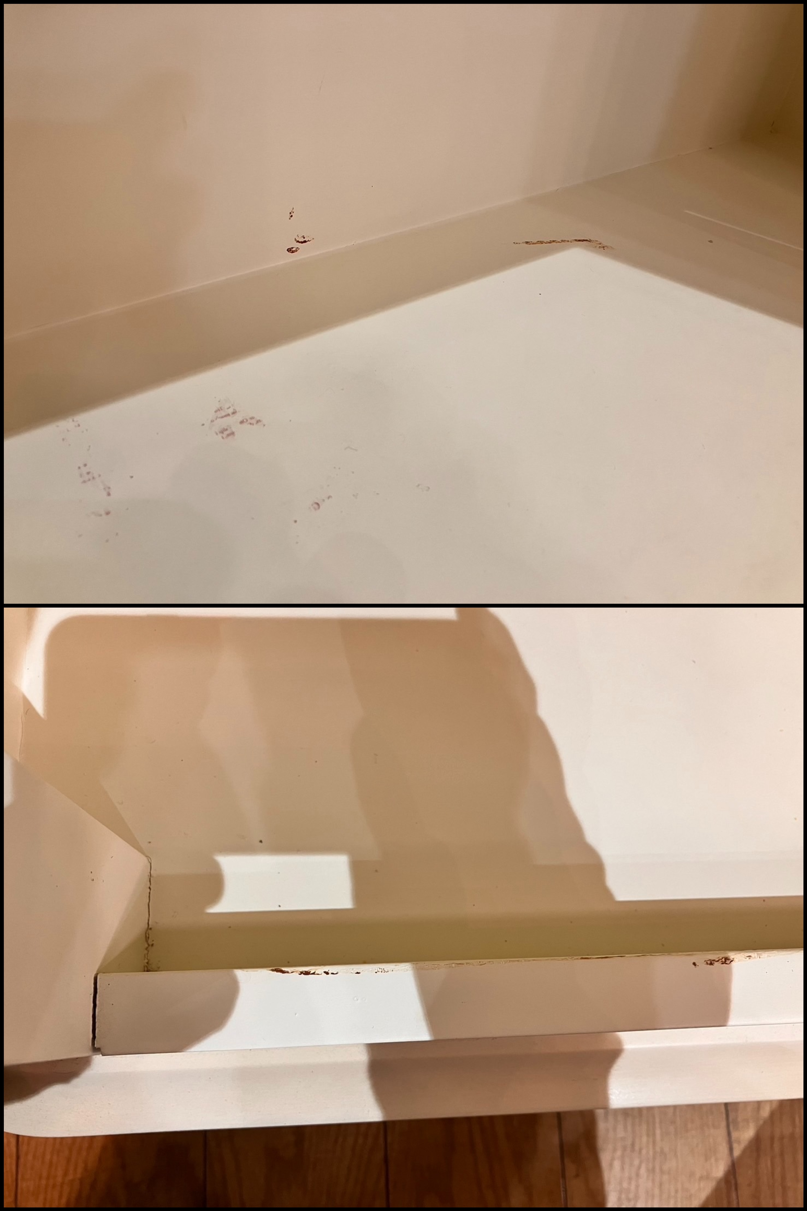 The